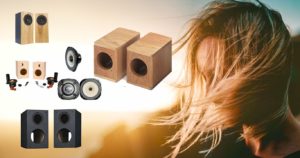 Best DIY speaker kits